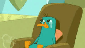 perry the platypus,avatar,legend of korra,perry