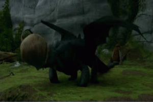 toothless,how to train your dragon,hiccup,dragon