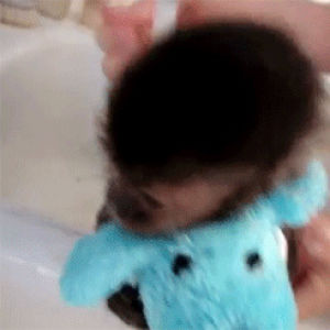 harry,bath,cute,baby,monkey