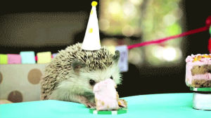 tastefully offensive,hedgehog,birthday