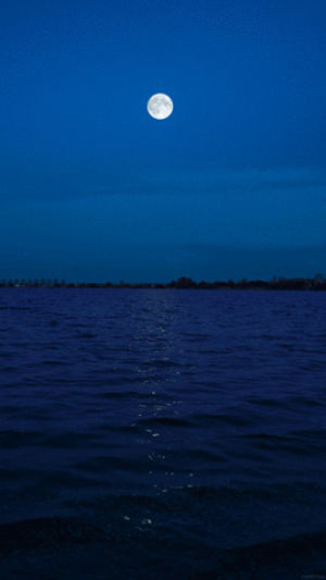 moon,lake,cinemagraph,morning,moonset,water,nature,waves,reflection,dawn,living stills