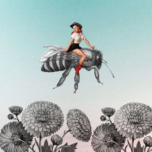 collage,flowers,cowgirl,bee,percolate galactic,rodeo