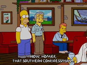 homer simpson,episode 9,beer,season 14,bar,gentleman,14x09,southern,congressman