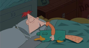 perry the platypus,phineas and ferb,ferb fletcher,phineas flynn,disney