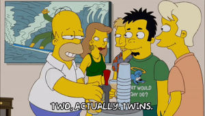 homer simpson,party,season 20,beer,episode 19,twins,20x19,keg