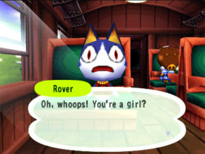 animal crossing,video games,video game,animalcrossing
