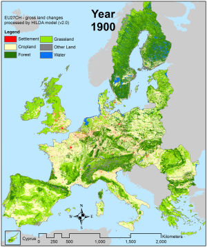 europe,forests,watch,years,larger,europes