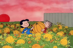 halloween,great pumpkin,peanuts,charlie brown,its the great pumpkin charlie brown