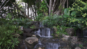 waterfall,nature,cinemagraph,beauty,jerology,majestic,thailand