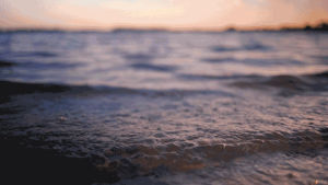 lake,waves,tide,perfect loop,nature,sunset,dusk,cinemagraph,cinemagraphs,artist