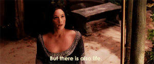 The lord of the rings our return of the king GIF - Find on GIFER