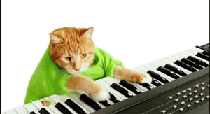 music,piano,keyboard cat,funny,cat,animals