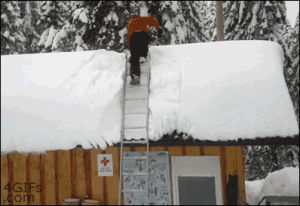 roof,snow,fall,recovery,ladder