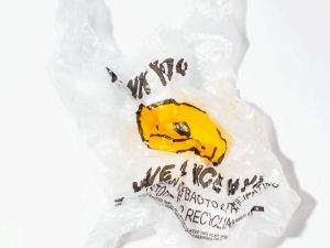thank you,smiley face,have a nice day,plastic bag,happy,happy face,phyllis ma,specialnothing