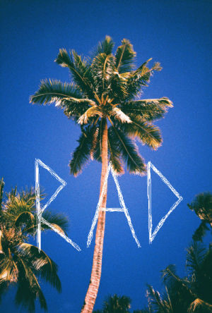 summer,rad,palm tree,bluesky