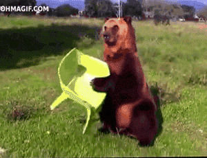 sit,bear