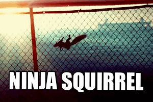 ninja,squirrel