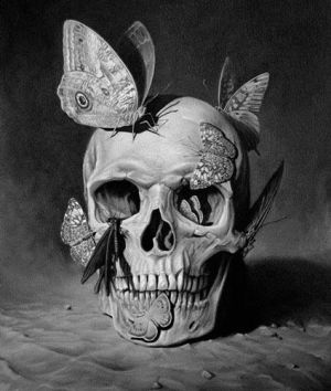 skeleton,skull,butterflies