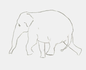 drawing,animal,elephant