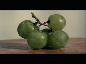 grapes,loop