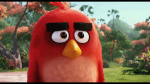 angry birds,movie,angry,mad,ang,get angry