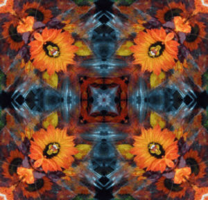 love,trippy,nature,colorful,flower,kaleidoscope,hippie