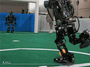 robot,fail,goal,robot fail,falling,shooting,soccer,kicking