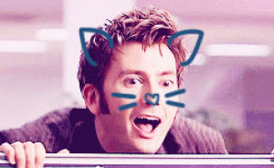 doctor who,tenth doctor,cat,david tennant,billie piper,rose tyler