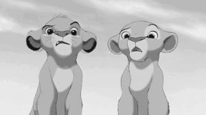 simba and nala,lionking,movie,the lion king,lion,simba,lion king,nala,simba nala