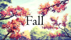 season,cool,fall