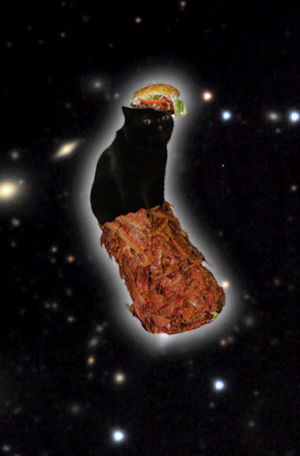 hamburger,space