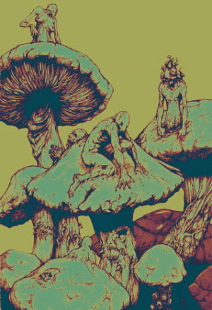 psicodelia,psychedelic,pyschedelic,mushrooms,magic mushrooms
