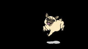 Transparent dog weird GIF on GIFER - by Adontrius