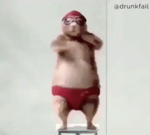 dance,dancing,friday,weekend,chipmunk,get ready for the weekend