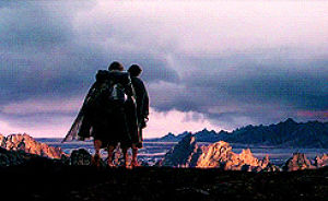 the lord of the rings,frodo,sam,fellowship of the ring,elise