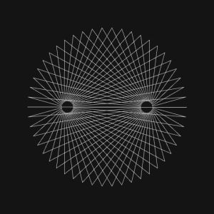 processing,perfect loop,creative coding,black and white,trippy,p5art,math art