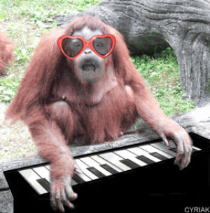 monkey,piano,forthelulz