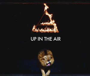 fury,fire,tiger,up in the air