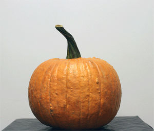 halloween,cbc,pumpkin,jack olantern