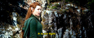 tauriel,elves,the hobbit,evangeline lilly,30 days of female awesome,favorite