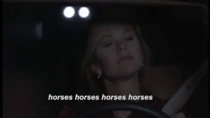 sleepless in seattle,meg ryan,horses horses horses horses