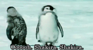 dancing,shakira,penguin