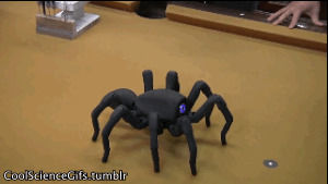 robot,biology,spider,robotics,moving,engineering,science,technology,physics,science s,computer science,arachnid,robugtix,screepy