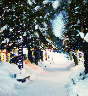 december,holiday,christmas,xmas,winter,snow,snowing
