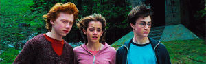 harry potter,harry,hermione,ron,poa