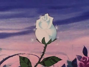 white flower,anime flowers,candy candy,shoujo,sweet candy,classic shoujo