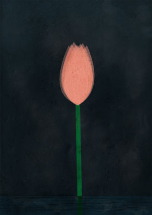 illustration,lotus,flower,digital art