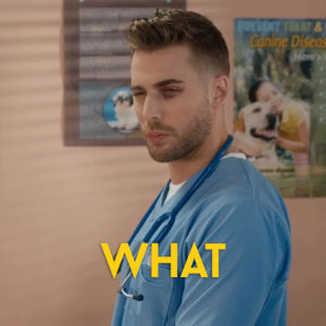 vet,dustin milligan,schitts creek,funny,comedy,wtf,what,scrubs,humour,cbc,ted,canadian,schittscreek,what are you talking about,mullins