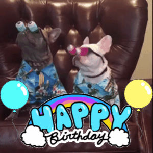 happy birthday,birthday,happy birthday funny,dog birthday,dogs,birthday card