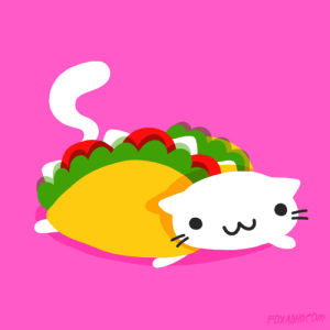 taco,food,animation,cat,pink,foxadhd,kitty,cindy suen,taco cat